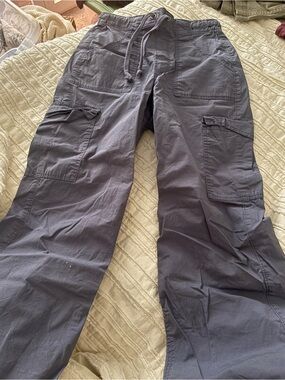 Hollister Cargo Pants in Ashy Blue